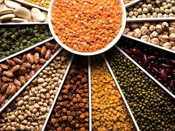 الحبوب والأرز